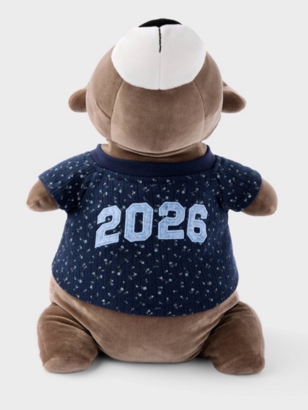 🧸 Hollister Weighted Bear Plush Throw Pillow NWT🧸